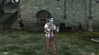 morrowind better bodies clothes