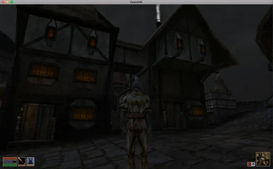 OpenMW support