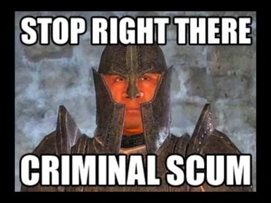 Stop right there criminal scum