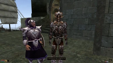 Armors of tamriel  A lore-friendly armor integration mod