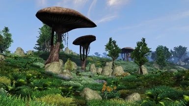 Morrowind Graphics Guide Shaders