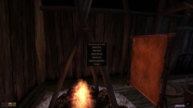 Necessities of Morrowind support provided by NoM version of this mod.