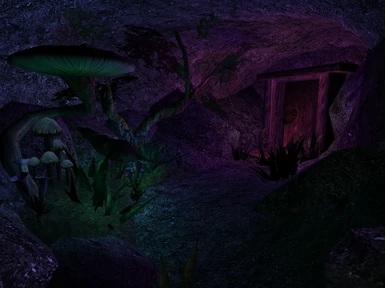 Fungal Grotto II