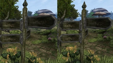 Imperial signs are English by default, but can be switched to Daedric.