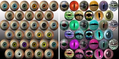 Before and after with the eyes