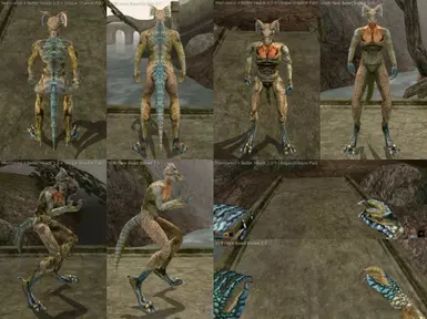 Male Argonian
