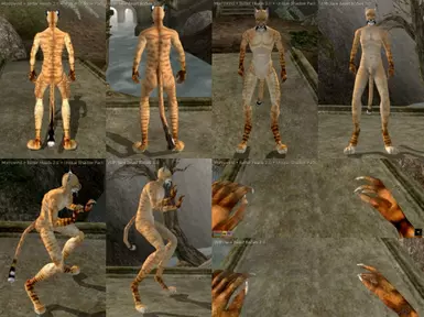 Male Khajiit