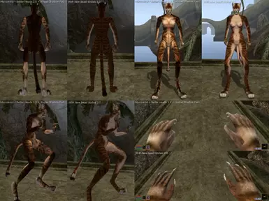 Female Khajiit