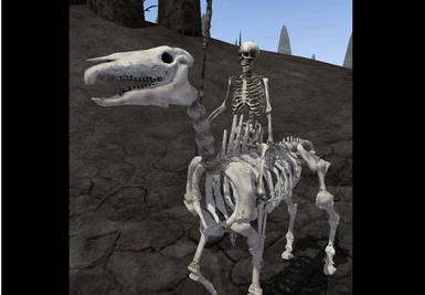 Skeleton Horse Rider