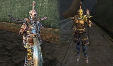 You can wear Ordinator gear, but only after completing certain quests