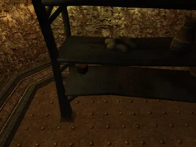 The location of the ring that you have to fetch, just in case you get stuck. You should recognize this particular location by this.