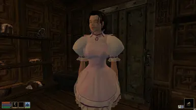 1maid