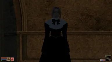 2maid