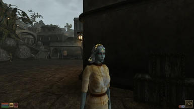 Dunmer Nobles Overhaul compatibility patch for Vanilla and Westly's Heads