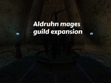 Ald-ruhn Mages guild expansion