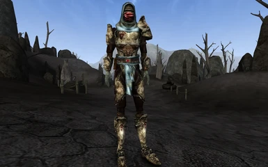 Sathil Mercenary Armor V2.1 (OUTDATED)