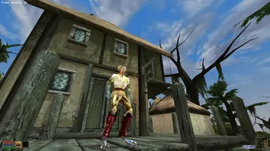 morrowind beast race boots