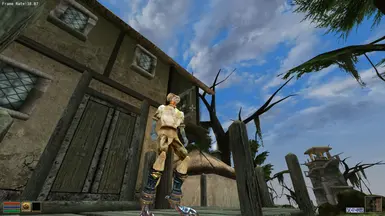 Indoril Beast Boots