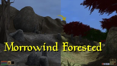 Classic Morrowind Forested