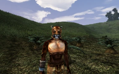 Diverse Khajiit - New and Improved