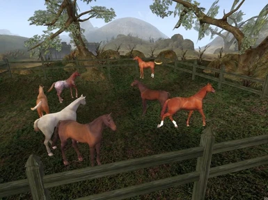 Pegas Horse Ranch Patch for OpenMW