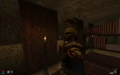 No shiny head