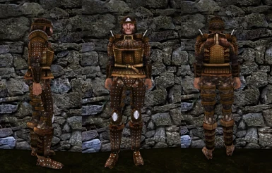 Complete and Revised Imperial Studded Leather Armor