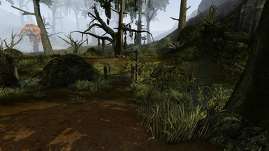 Grass for Morrowind Rebirth 5.6
