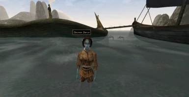 Got this bugged NPC out of the water by asking her to follow me
