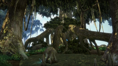 Graht Morrowind Swamp Trees