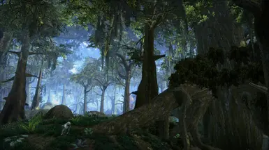 Wise Mystical Tree at Morrowind Nexus - mods and community