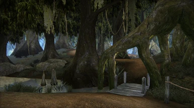 New trees in the area around Seyda Neen in 2.0