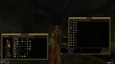 magic icon mod morrowind magic icon mod morrowind