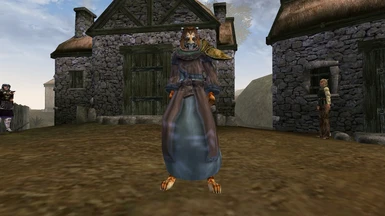 Morrowind but Khajiit Feet are slightly more detailed