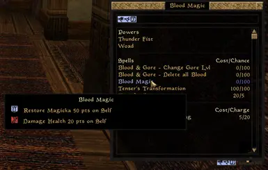 A spell sold by the Mage House Guest