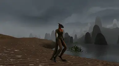 New Argonian Bodies