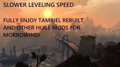 Slower Leveling Speed (an ideal Tamriel Rebuilt add-on)