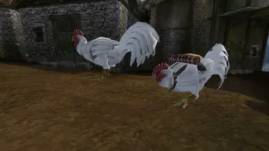 Guar Chicken Replacer