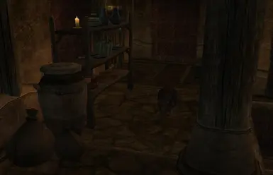 Rat Infested Home