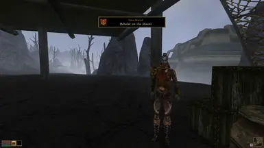 SSQN Support