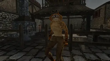 Khajiit in Karthwasten