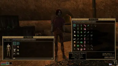 Invisible or Hidden High End Armors