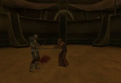 Fighters fighting in MWSE