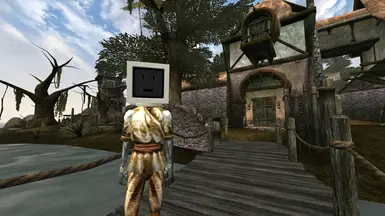 Monitor Head