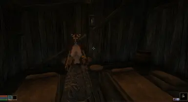 Robert's Bodies with Liztail's Khajiit Bodies