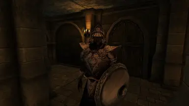 The Imperial Guard garrison is now full of guards with the Duke's Guard silver armour, as it should have been.