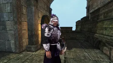 Castle Ebonheart is now patrolled by the Imperial Guard