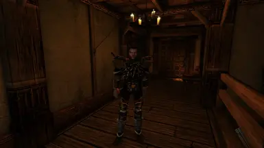 Armours such as dragonscale and newtscale make appearances throughout Vvardenfell.