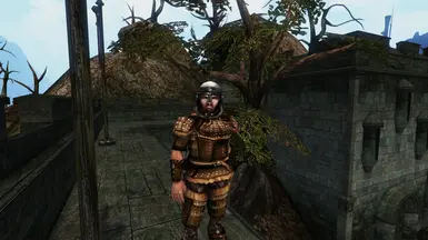 Legion archers will wear full leather armour.