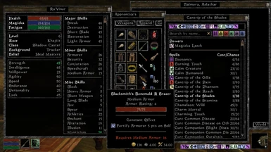 Equipment requirement mod that inspired me